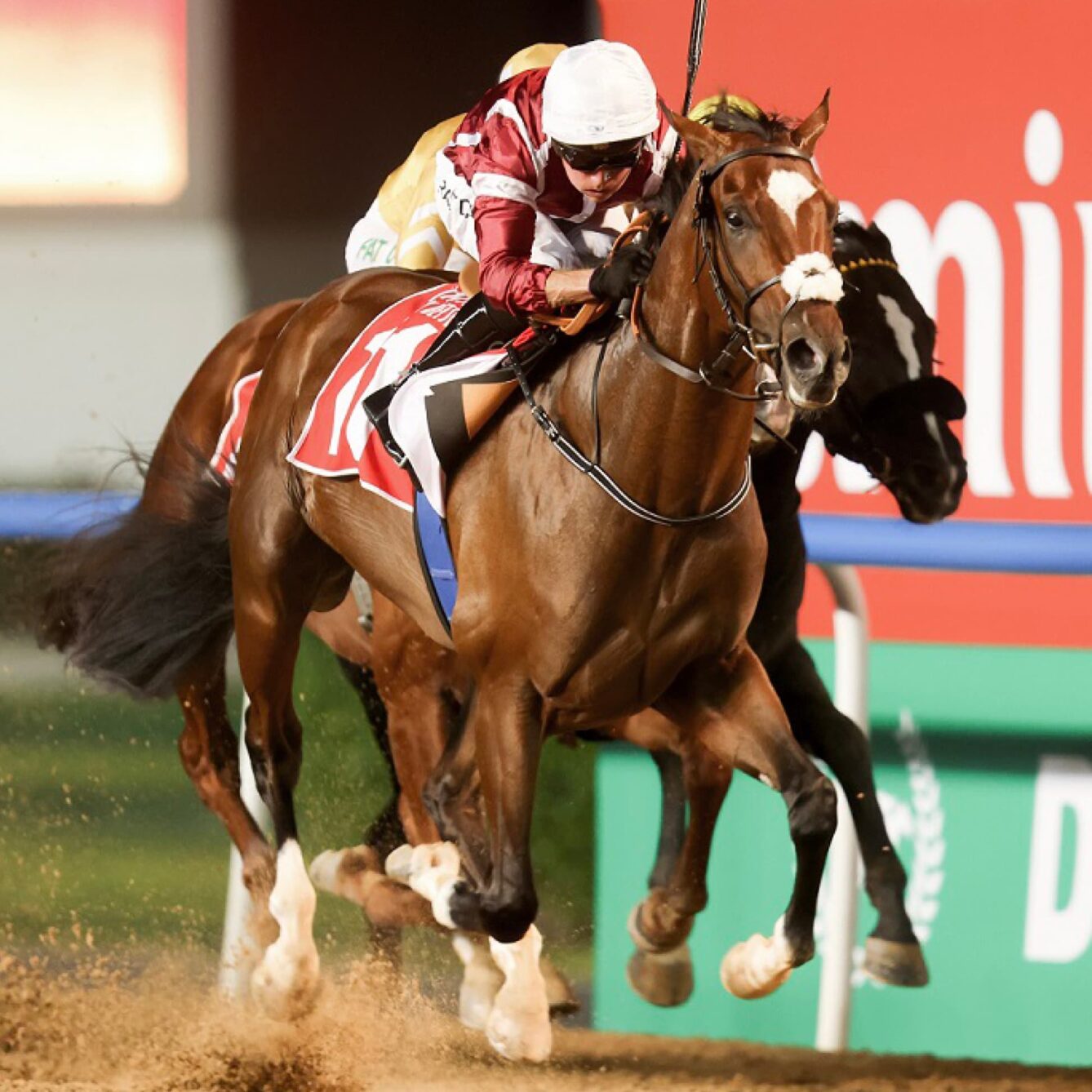 ERA PHOTO 972x972 02